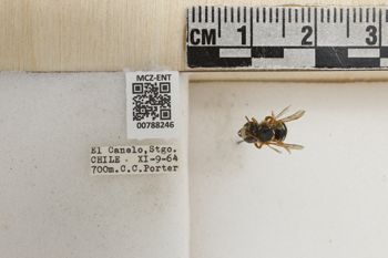 Media type: image;   Entomology 788246 Aspect: Labels